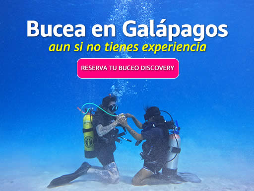 Buceo en Galapagos sin experiencia