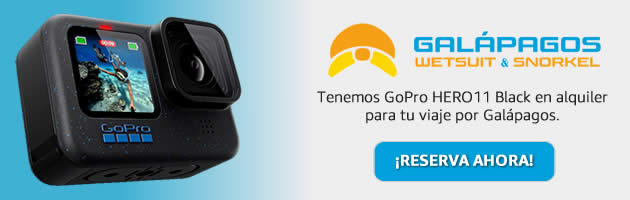 GoPro HERO11 Black para Alquiler en Galapagos