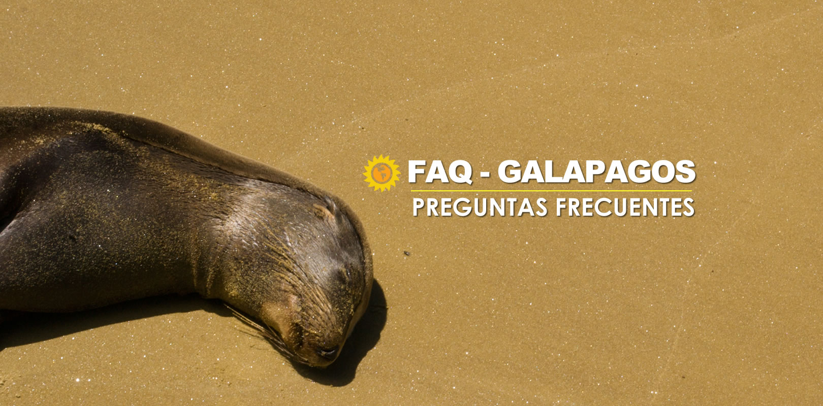 Galapagos FAQ Preguntas frecuentes de Tours